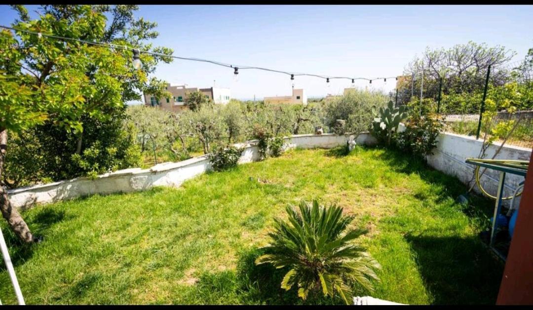 Greenhouse Villa Monopoli Eksteriør bilde